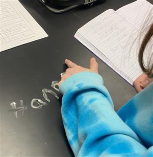 Chalk Lab 2025 3.jpg